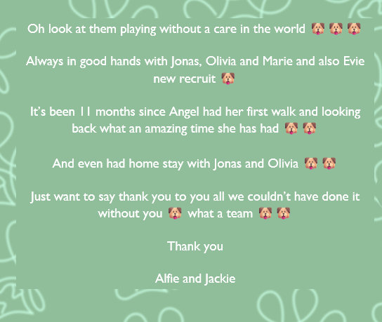 The Happy Trails dog walking team out on a countryside walk near Colne, Lancashire